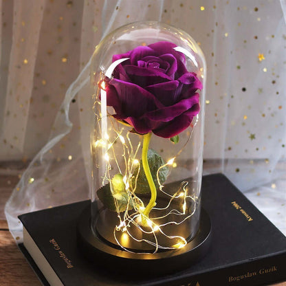 Forever rose inside a glass dome