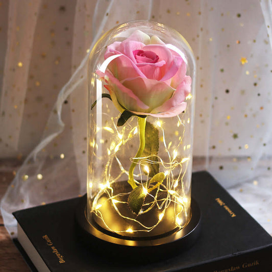 Forever rose inside a glass dome