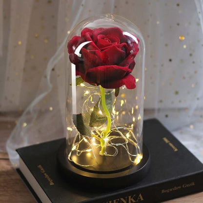 Forever rose inside a glass dome