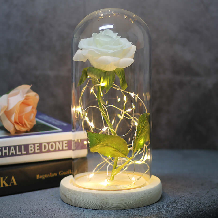 Forever rose inside a glass dome