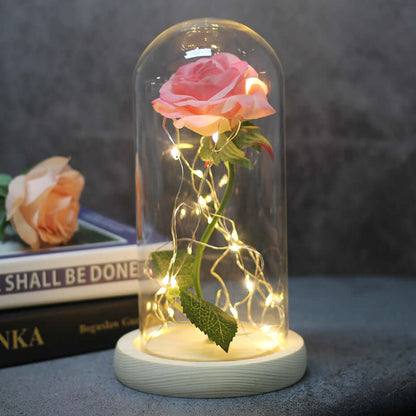 Forever rose inside a glass dome