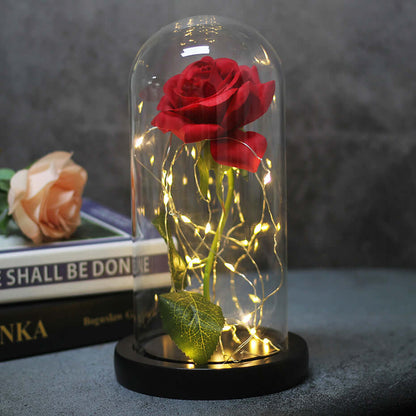 Forever rose inside a glass dome